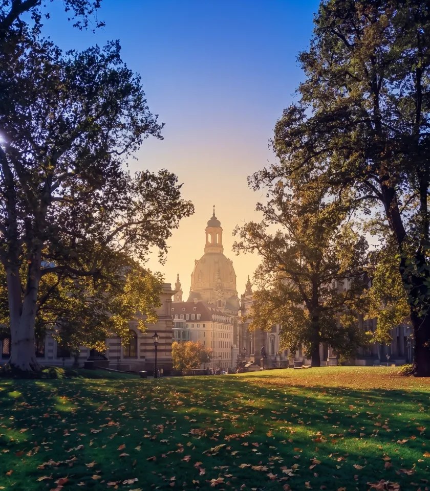 Green trees and Dresden rooftops